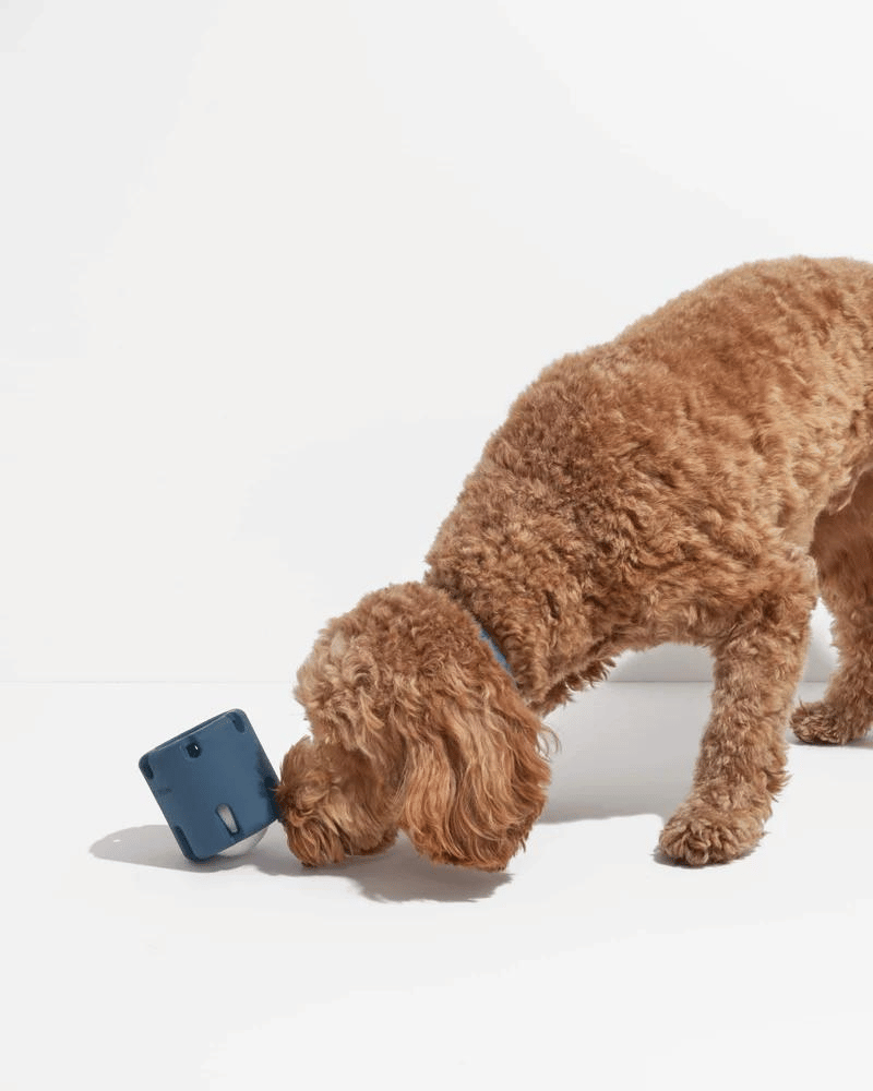 Tennis Cage™ - Juguete de Desarrollo Cognitivo para Perros