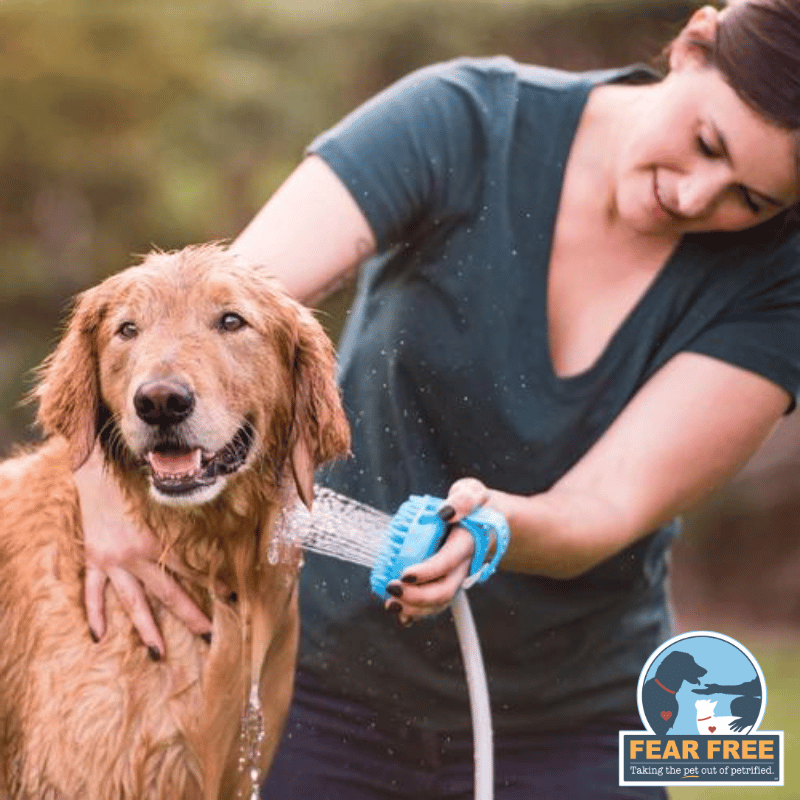 Guante Baño Fácil para Perros - AquaPaw™