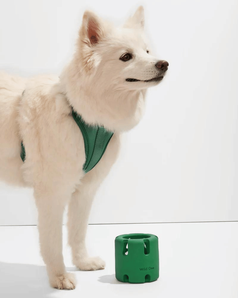 Tennis Cage™ - Juguete de Desarrollo Cognitivo para Perros