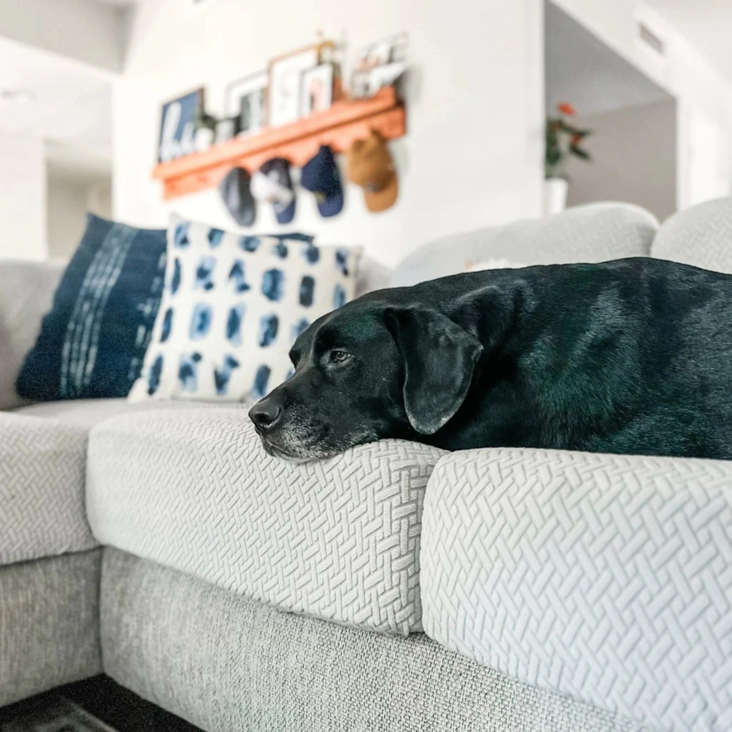 Funda mágica cubre sofá