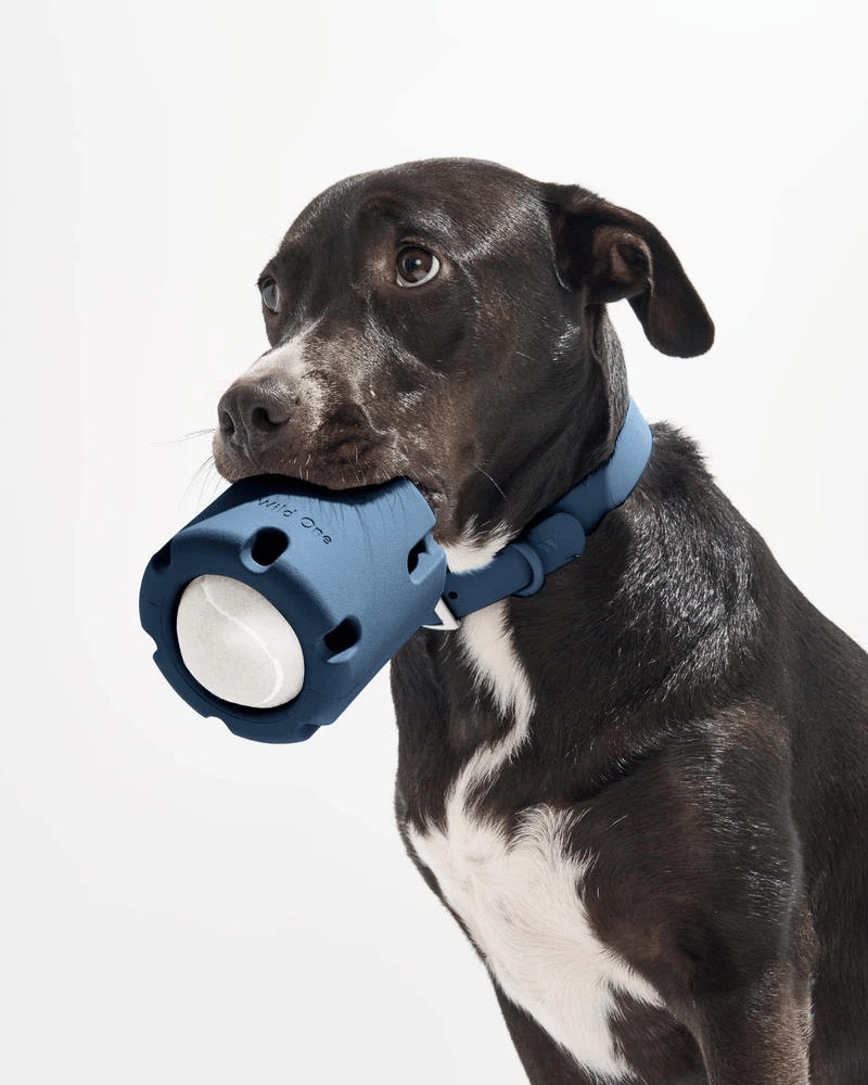 Tennis Cage™ - Juguete de Desarrollo Cognitivo para Perros