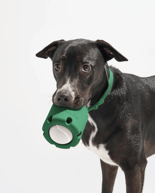 Tennis Cage™ - Juguete de Desarrollo Cognitivo para Perros